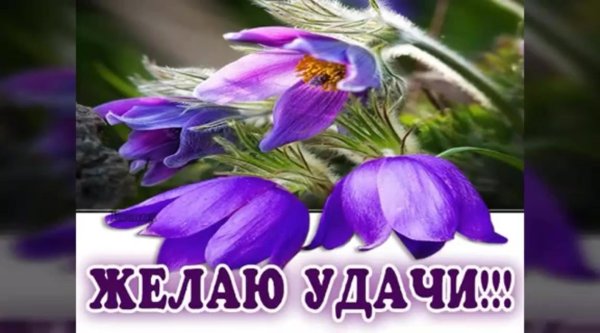 пожелание удачи