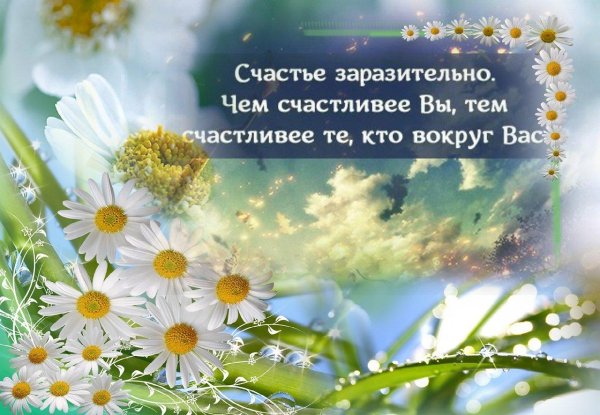 ромашковое счастье