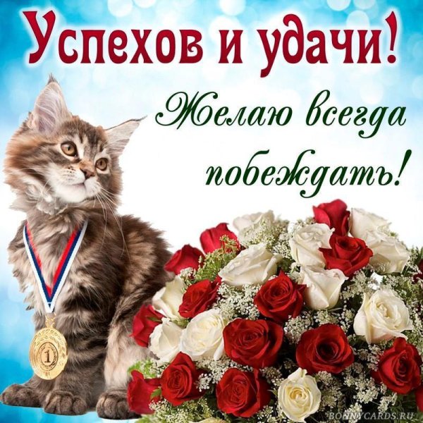 поздравление с успехом
