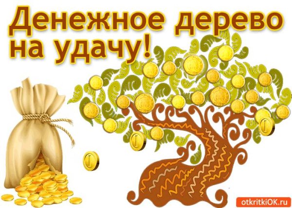 денежная дерево