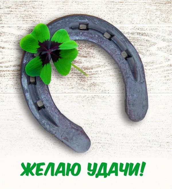 большая удача