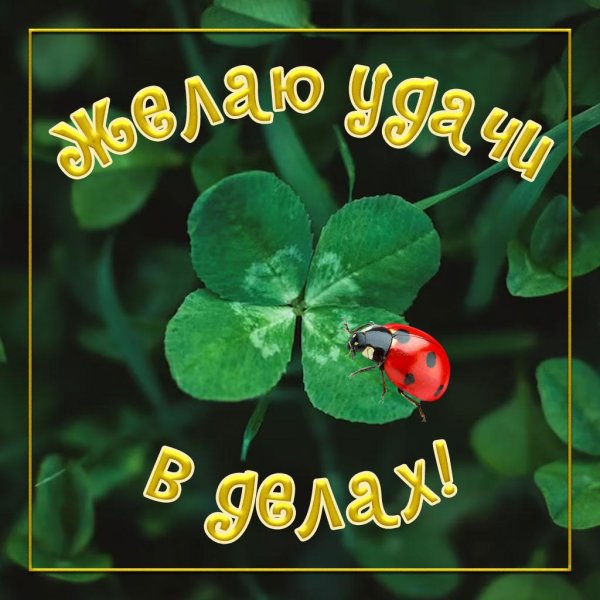 пожелание удачи