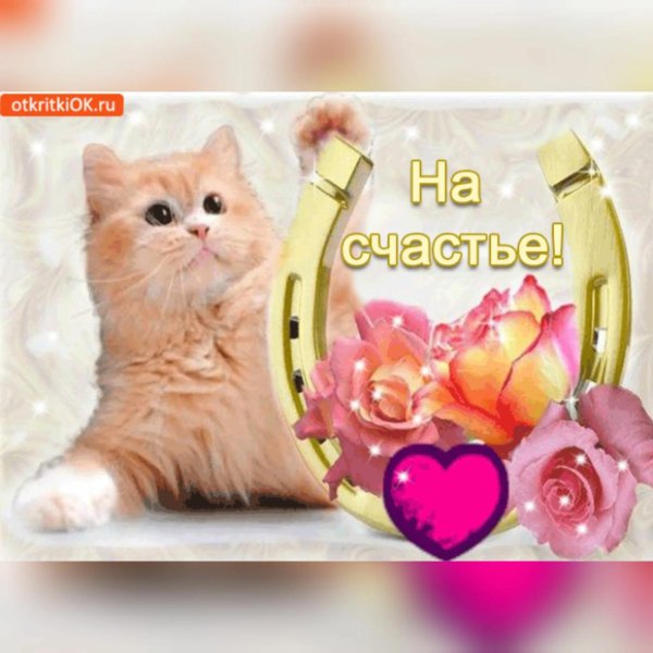 кот на удачу