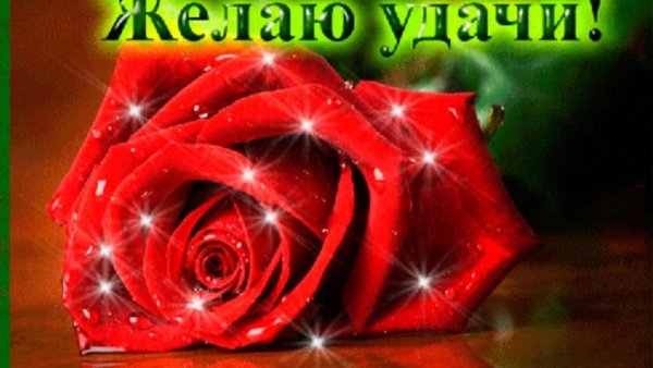 желаем удачи