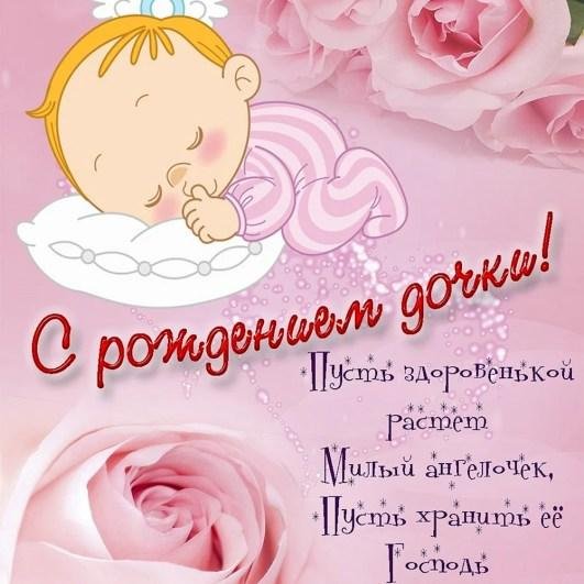 розовая роза