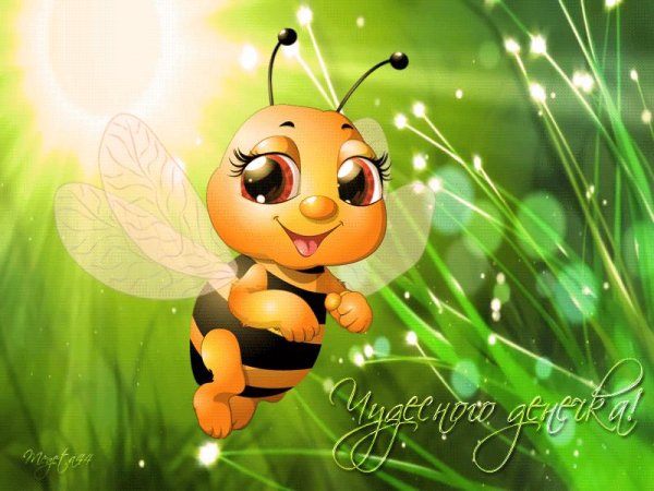 пчела мультяшная