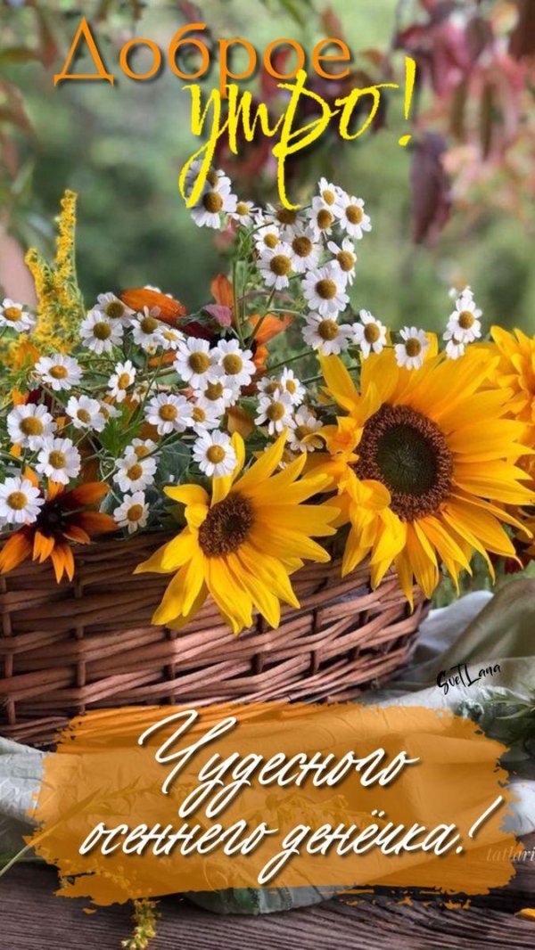 добра утра