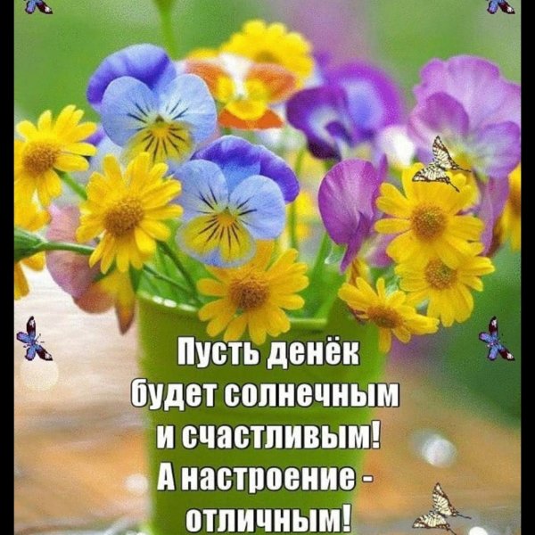 солнечного вторника