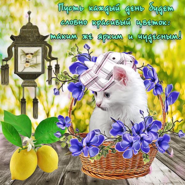 красивые пожелания с добрым