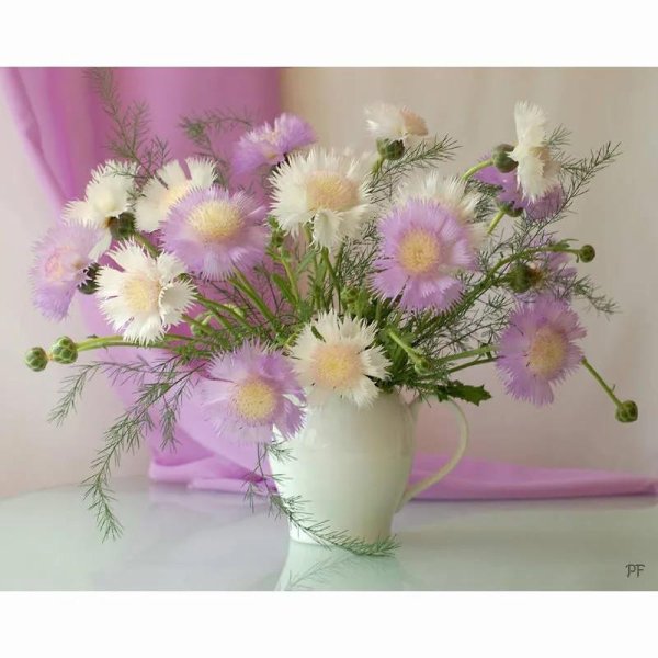 цветочный натюрморт