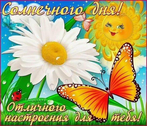 открытка солнечного дня