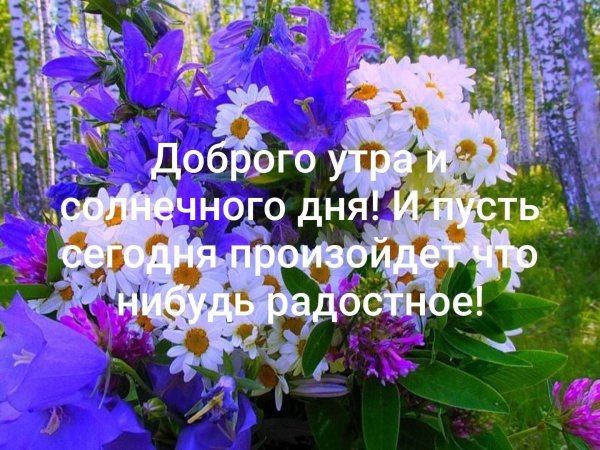 доброго солнечного дня