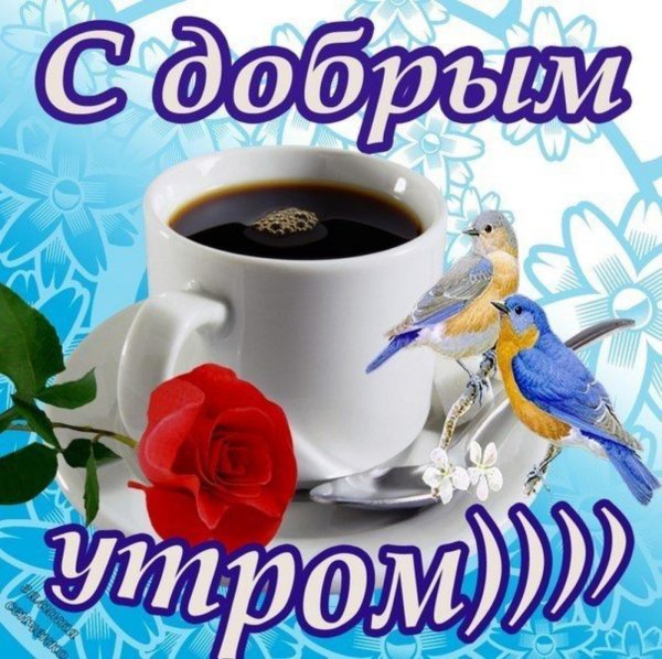 поздравление с добрым утром красивые