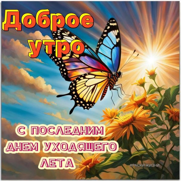 доброе утро 31 августа последний день лета