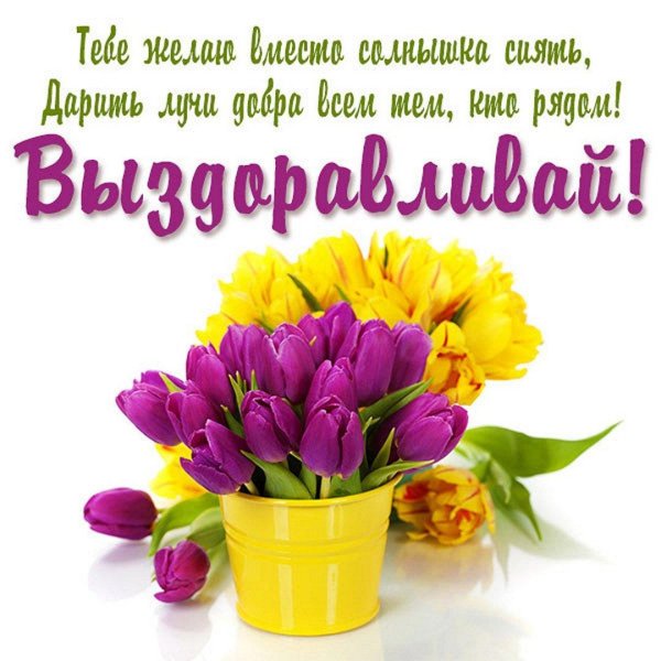 выздоравливай цветы