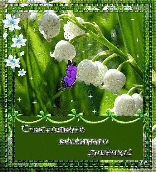 ландыш майский