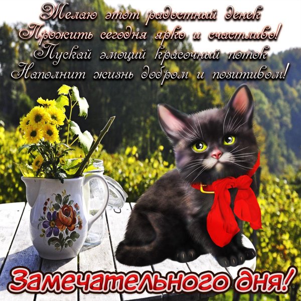 открытки и пожелания