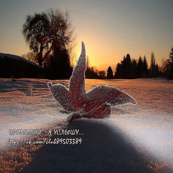 добрый вечер зимы необычные