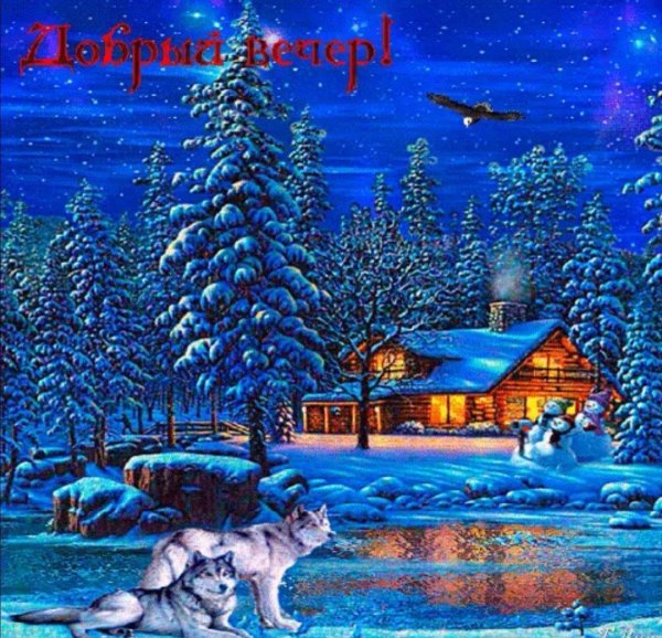 спокойной зимней ночи