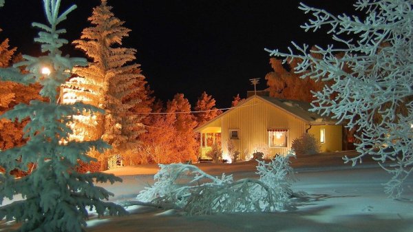 новогодний дом в лесу