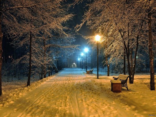 зимние ночные пейзажи