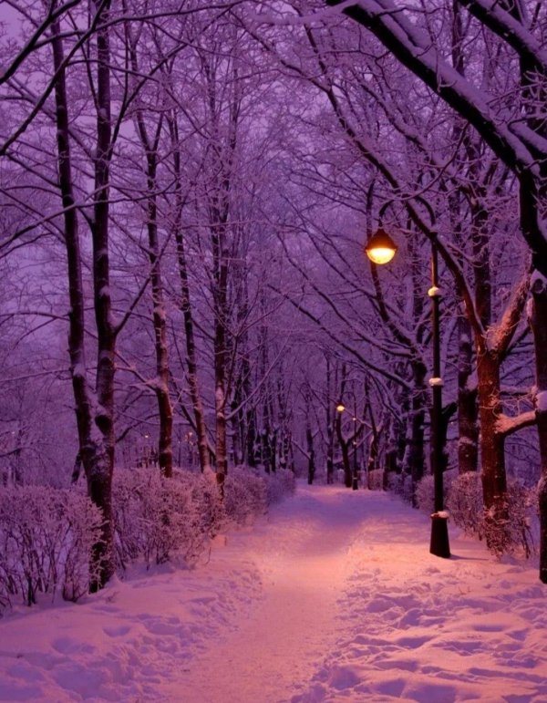 вечерняя зима