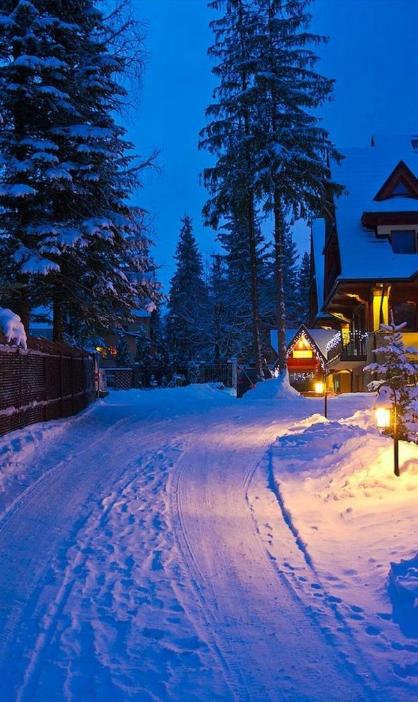 красивый снежный вечер