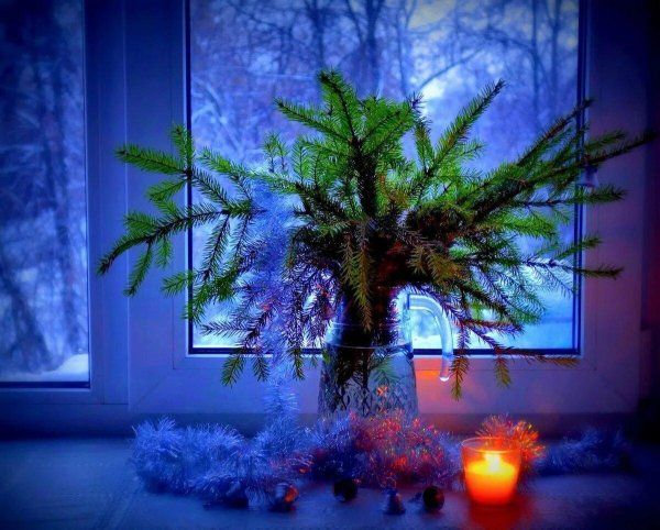 у зимнего окна