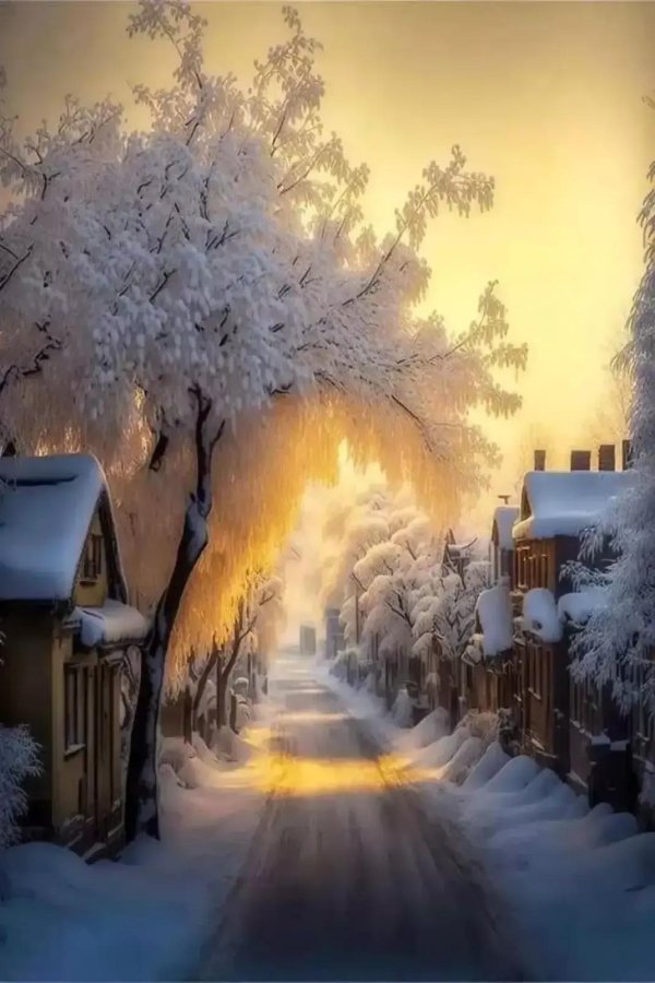 красивая зима