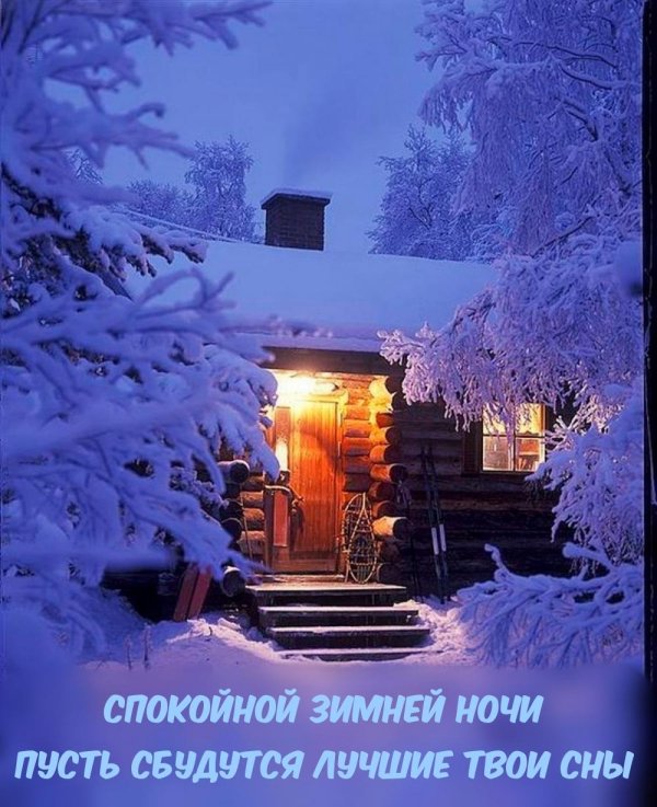 спокойной зимней ночи