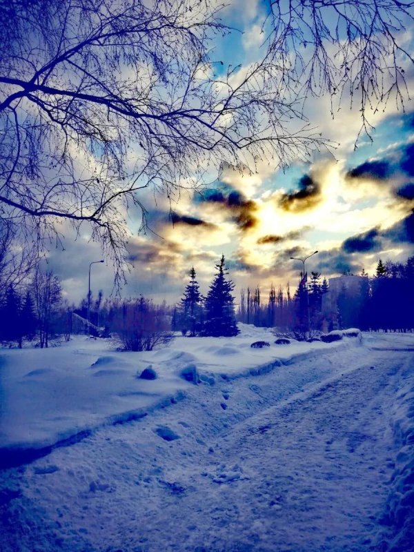 зима солнце