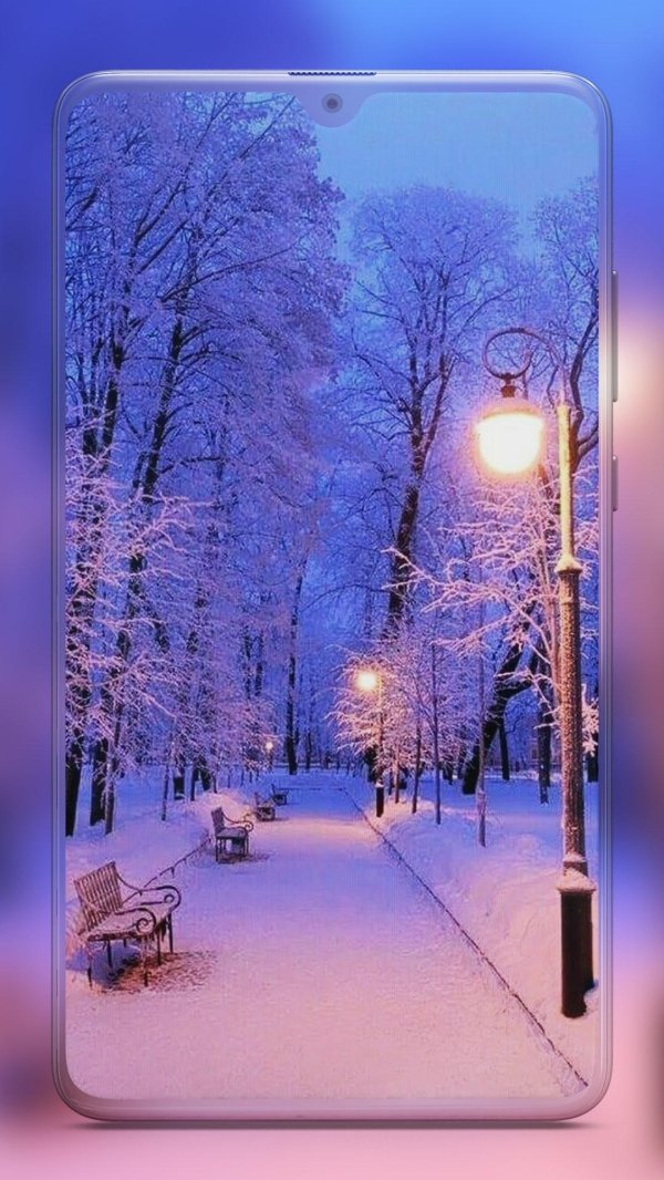 зимний парк