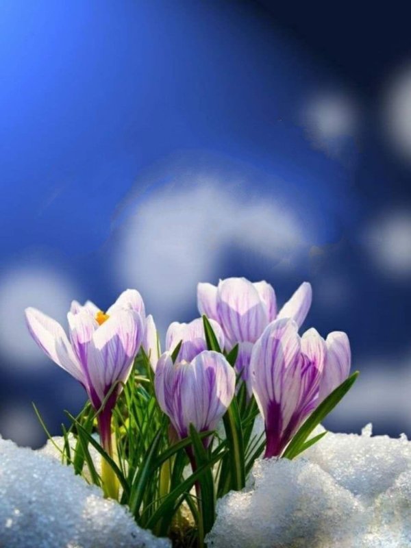 с наступлением весны