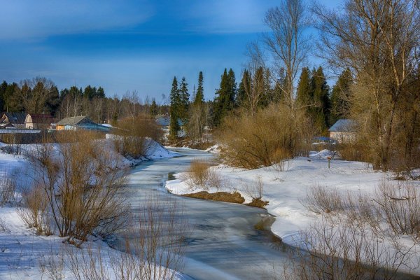 природа ранней весной