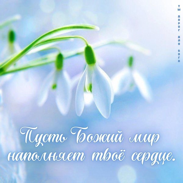 поздравление с весной