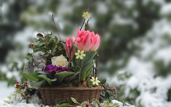 букет цветов весенний