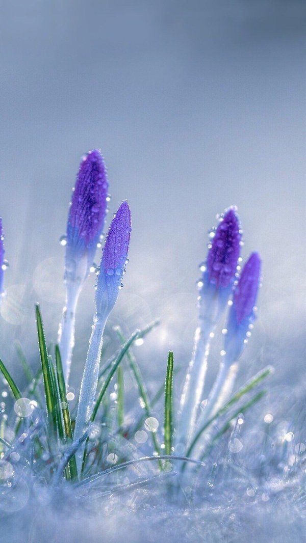 наступление весны