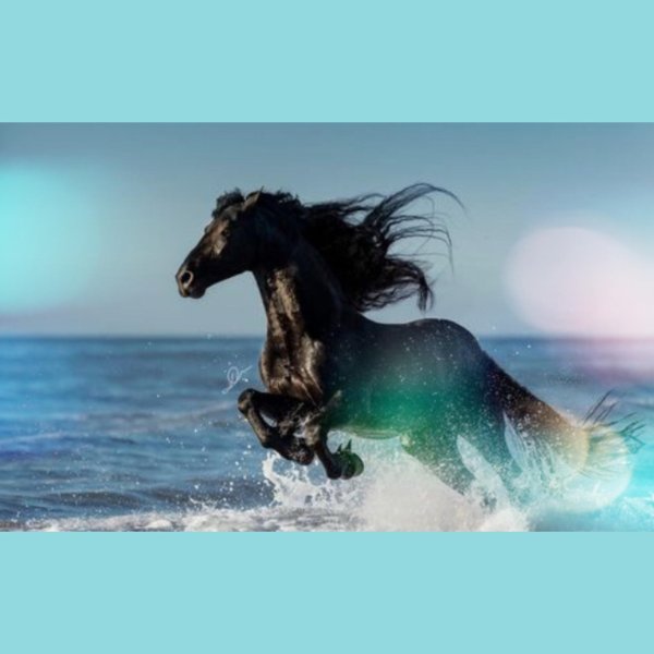 красивые кони