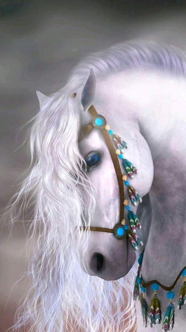 украшения на гриву лошади