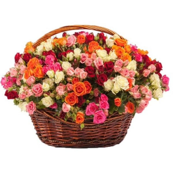 101 кустовая роза