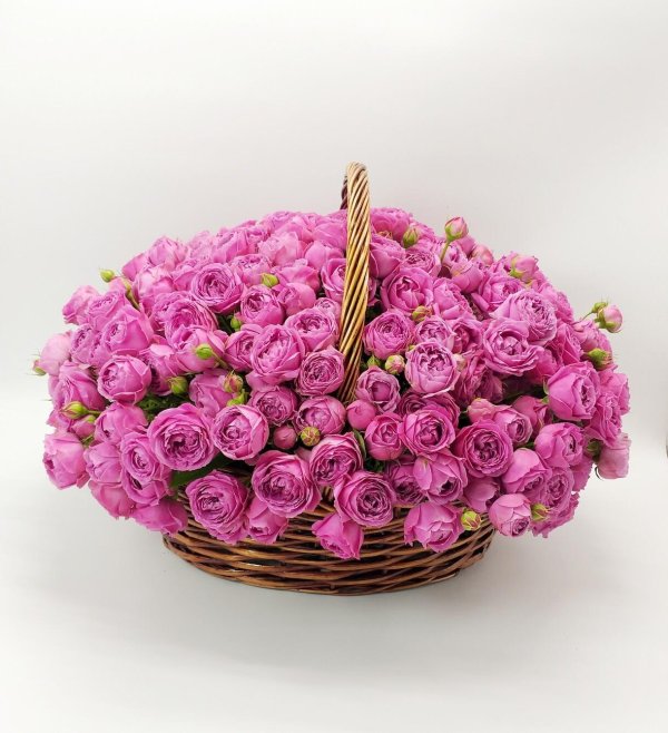 пионовидная кустовая роза