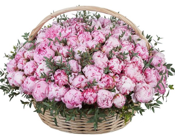 букет 101 пион