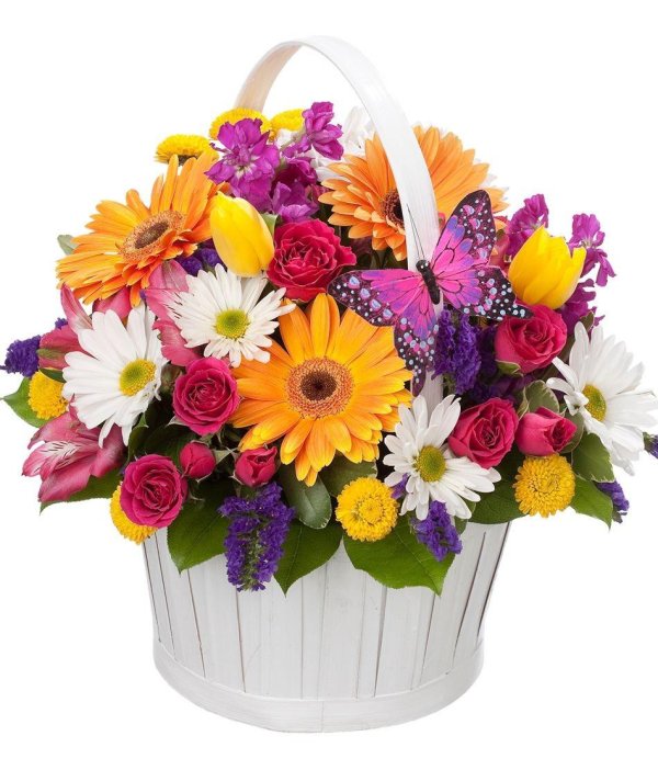 корзинка с герберами