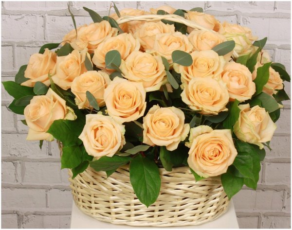 персиковая роза