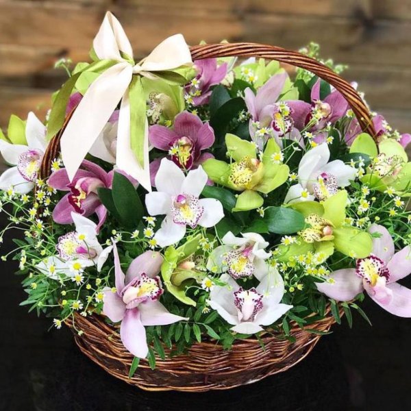 цимбидиум микс