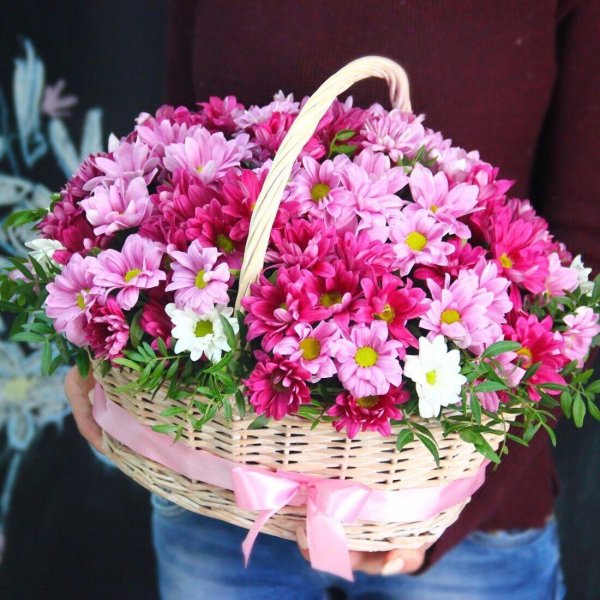 корзинка хризантемы бакарди