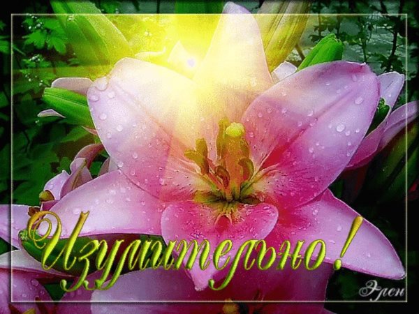 открытки изумительно