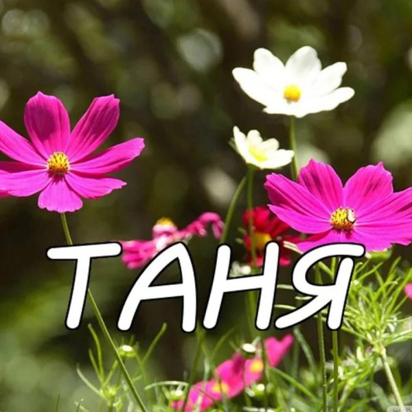 цветы татьяне