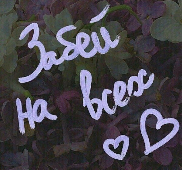 сохры с надписями