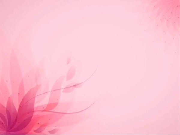 цветы розовые абстракция